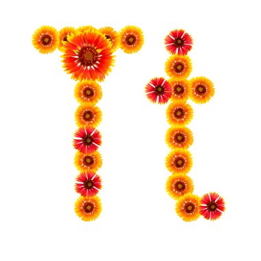 bir alfabe sarıdan İngilizce