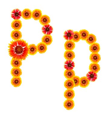 bir alfabe İngilizce beyaz zemin üzerine sarı