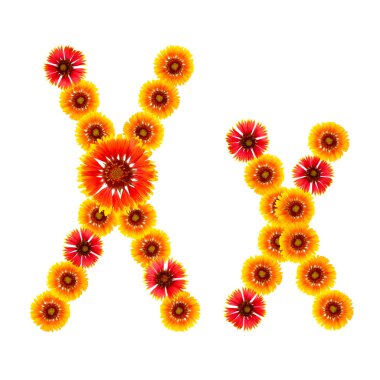 bir alfabe sarıdan İngilizce