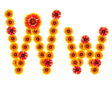 bir alfabe sarıdan İngilizce