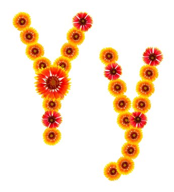 bir alfabe sarıdan İngilizce