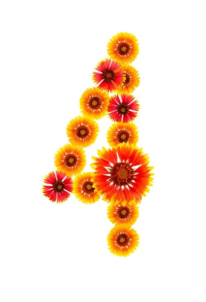 Número "4" da flor amarela — Fotografia de Stock