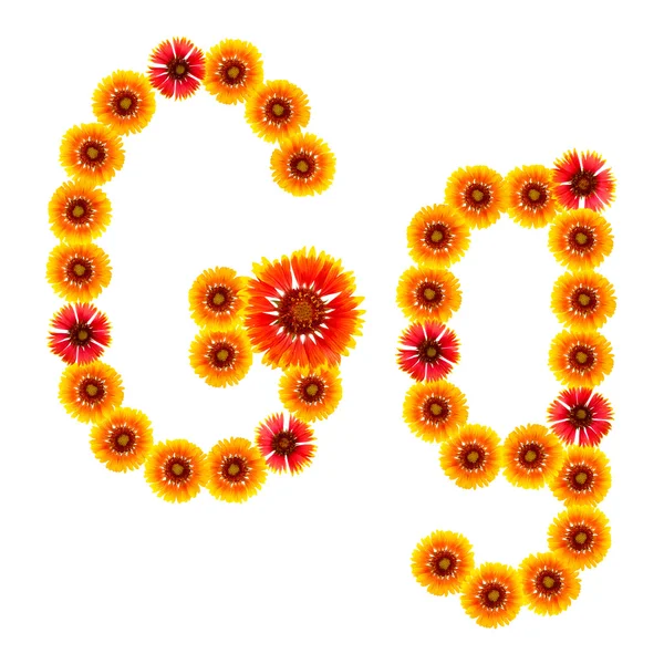 bir alfabe sarıdan İngilizce