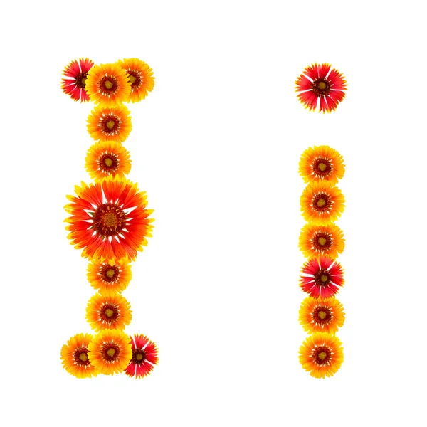 bir alfabe sarıdan İngilizce