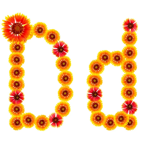 bir alfabe sarıdan İngilizce