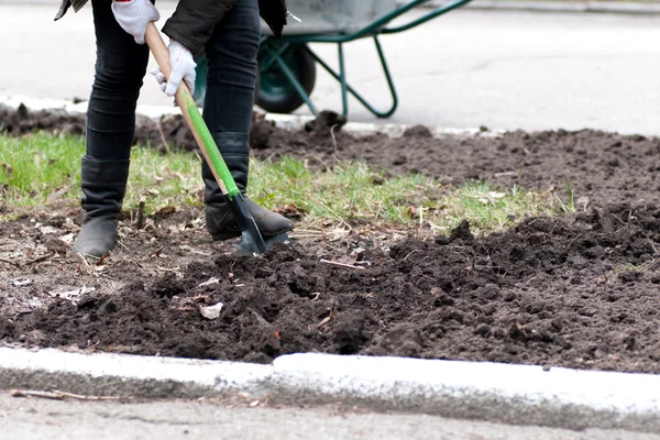 Seorang pria menggali tanah dengan sekop — Stok Foto