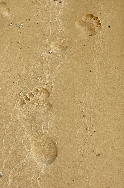 Stopy člověka na mokrý písek — Stock fotografie