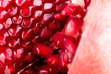 Nar meyve makro bağlamında