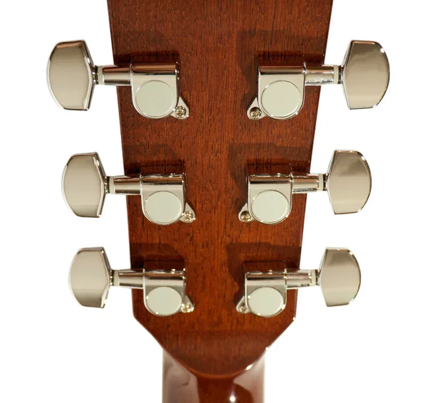Abutre de guitarra sobre um fundo branco — Fotografia de Stock