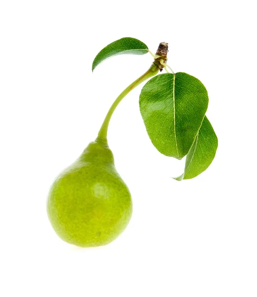 Green pear leaves — Stock Photo, Image