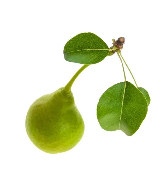 Pera con due foglie su bianco — Foto Stock