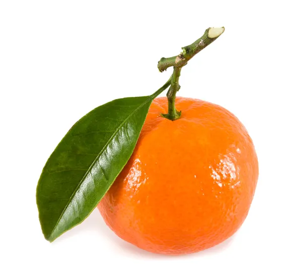 Mandarine mit grünem Zweig auf weißem Hintergrund — Stockfoto