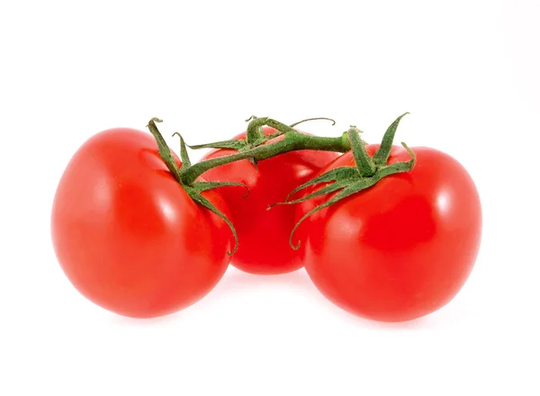 Three tomatoes on a green branch on white — Stock Photo, Image