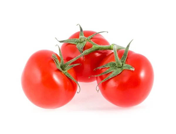 Tři rajčata na větvi — Stock fotografie