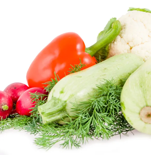 Dois tutanos vegetais, pimentão e rabanete de jardim — Fotografia de Stock