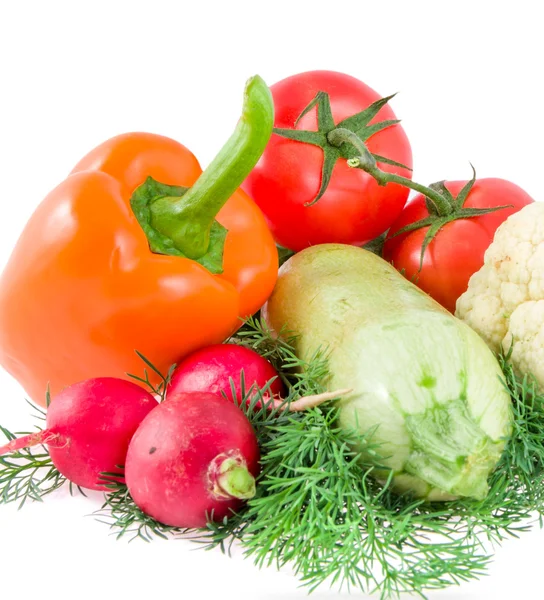 Fundo de pimenta, tomates, rabanete de jardim, tutano vegetal — Fotografia de Stock