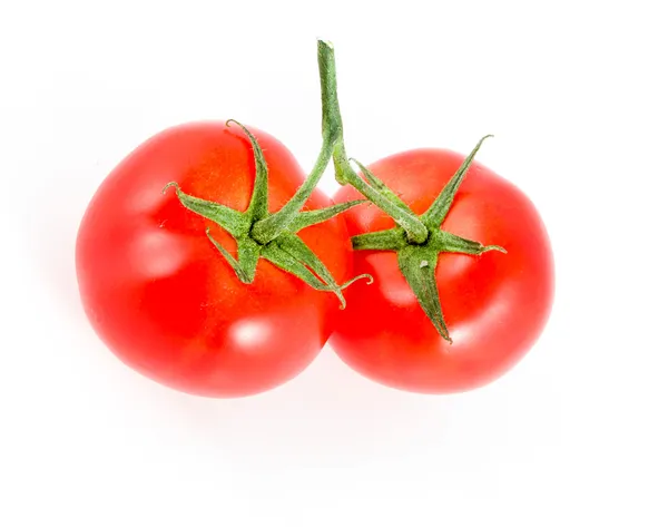 Two tomatoes on a branch — Stock Photo, Image