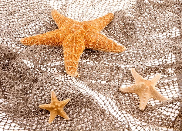 Tři hvězdy moře leží na sítě — Stock fotografie