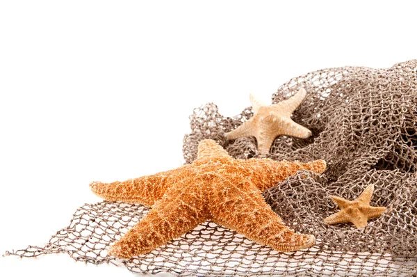 Trzy morza gwiazdek różnej wielkości leżą na sieci — Zdjęcie stockowe