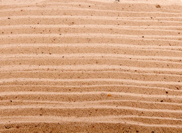 Achtergrond van strand zand met zandduinen — Stockfoto