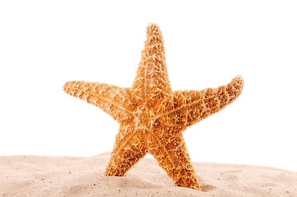 Estrela do mar está na areia no branco — Fotografia de Stock