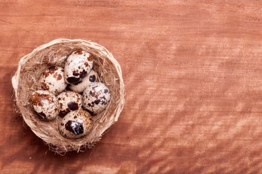 Bıldırcın yumurta yuvada ahşap zemin üzerinde