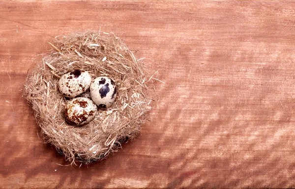 Quail eggs in the nest on the old board — Stock Photo, Image