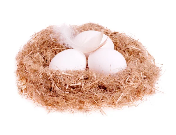 Trois blancs d'œufs avec une plume dans le nid — Photo