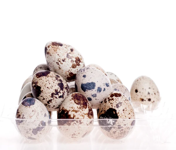 Перепелині яйця, покладені в ряд на білому — стокове фото