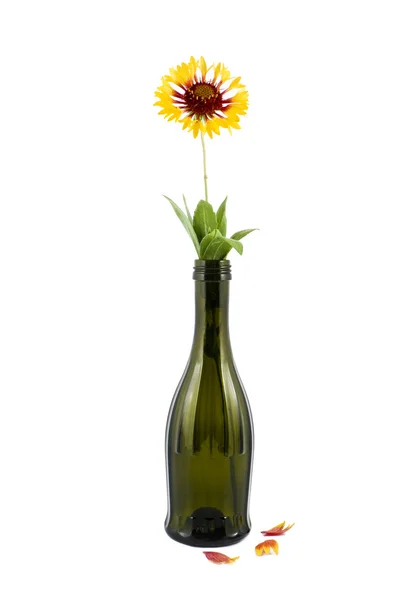 Yellow flower in green glass — Stock Photo, Image