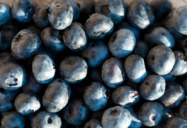 Bilberry arka plan meyveleri yakın çekim — Stok fotoğraf