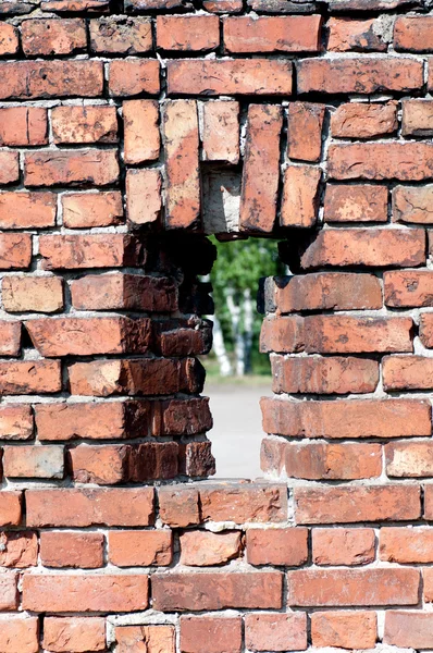 Bir tuğla duvar penceresine — Stok fotoğraf