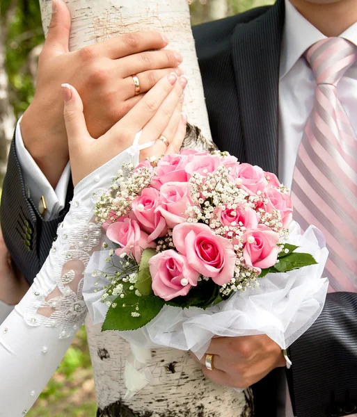 Hände des Bräutigams und der Braut auf dem Hintergrund der Birken — Stockfoto