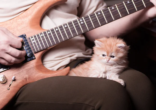 Kitten lays on man's lap who playing a guitar — Stock Photo, Image