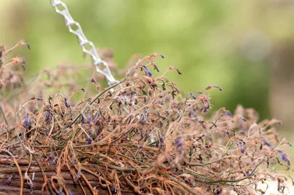 Fiori secchi in un cesto per strada — Foto Stock