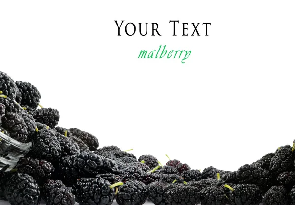 Background from the spilled mulberry — Stock Photo, Image
