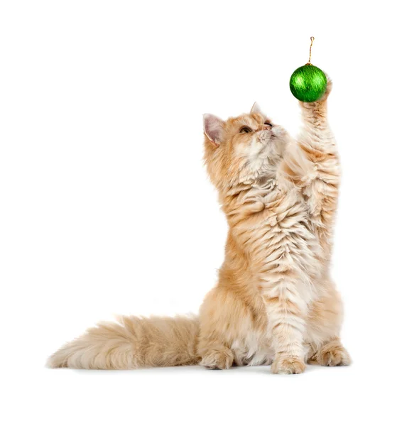 Red kitten sitting plays new year's green ball — Stock Photo, Image