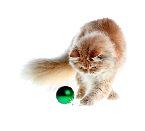 Red kitten worth playing new year 's green ball — стоковое фото
