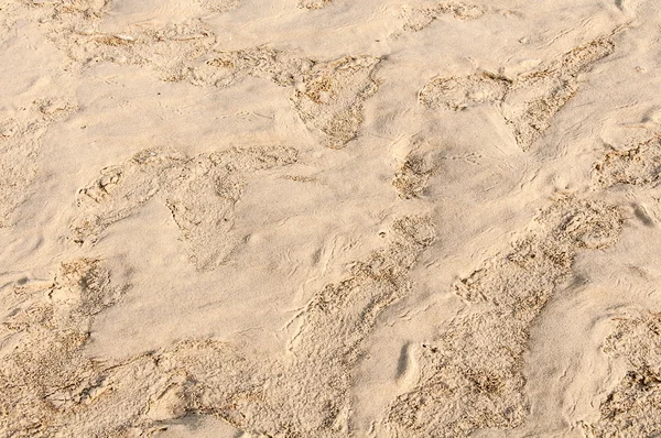 Mokry piasek — Zdjęcie stockowe