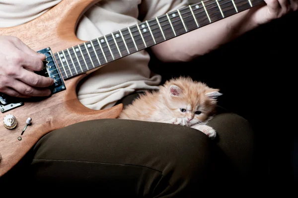 Red kitten on man legs — Stock Photo, Image