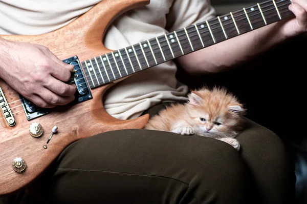 Gatito rojo en el hombre piernas — Foto de Stock