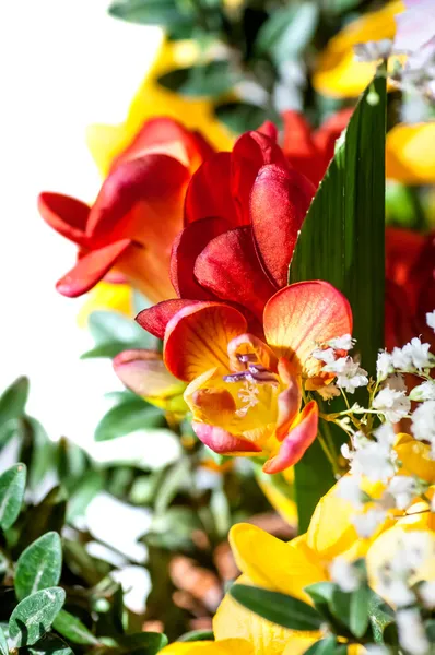 봄 꽃 부케 — 스톡 사진