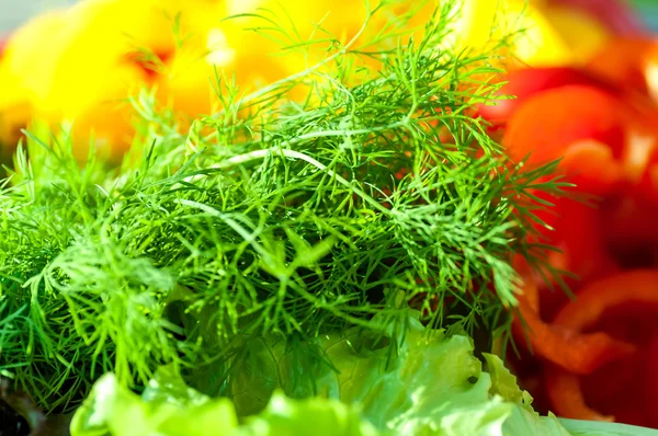 Dill and peppers closeup — Stock Photo, Image