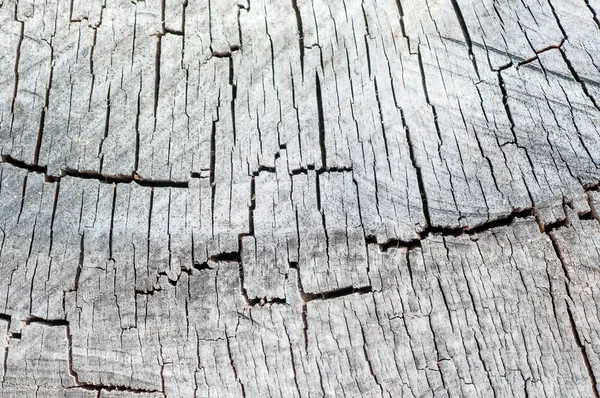 Ancienne texture en bois de bois dans le contexte de monochrome — Photo