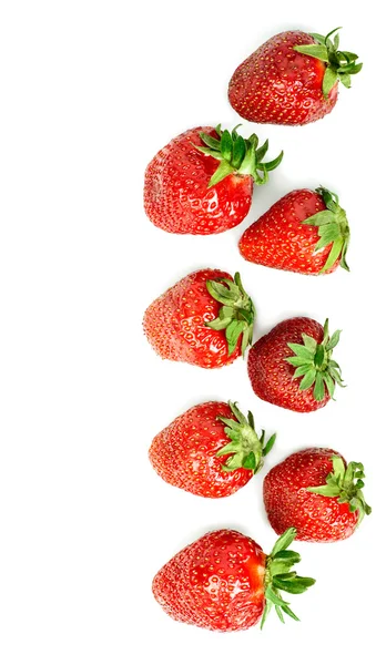 Bakgrund av jordgubbar i två rader — Stockfoto