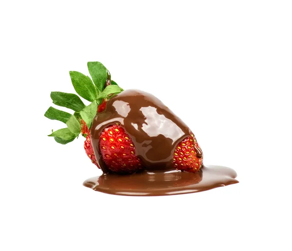 Strawberry in chocolate isolated — Stock Photo, Image