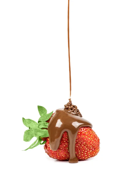 Chocolate is poured on strawberries isolated — Stock Photo, Image