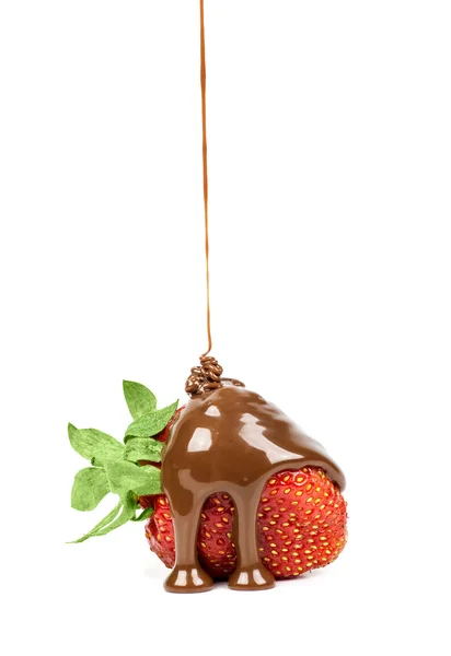 チョコレートは分離したイチゴで注がれる — ストック写真