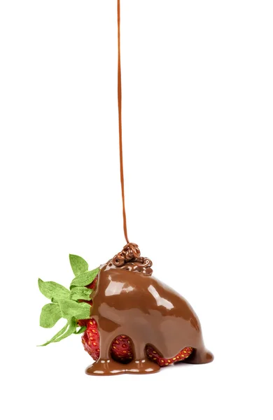 Chocolate is poured on strawberries isolated — Stock Photo, Image
