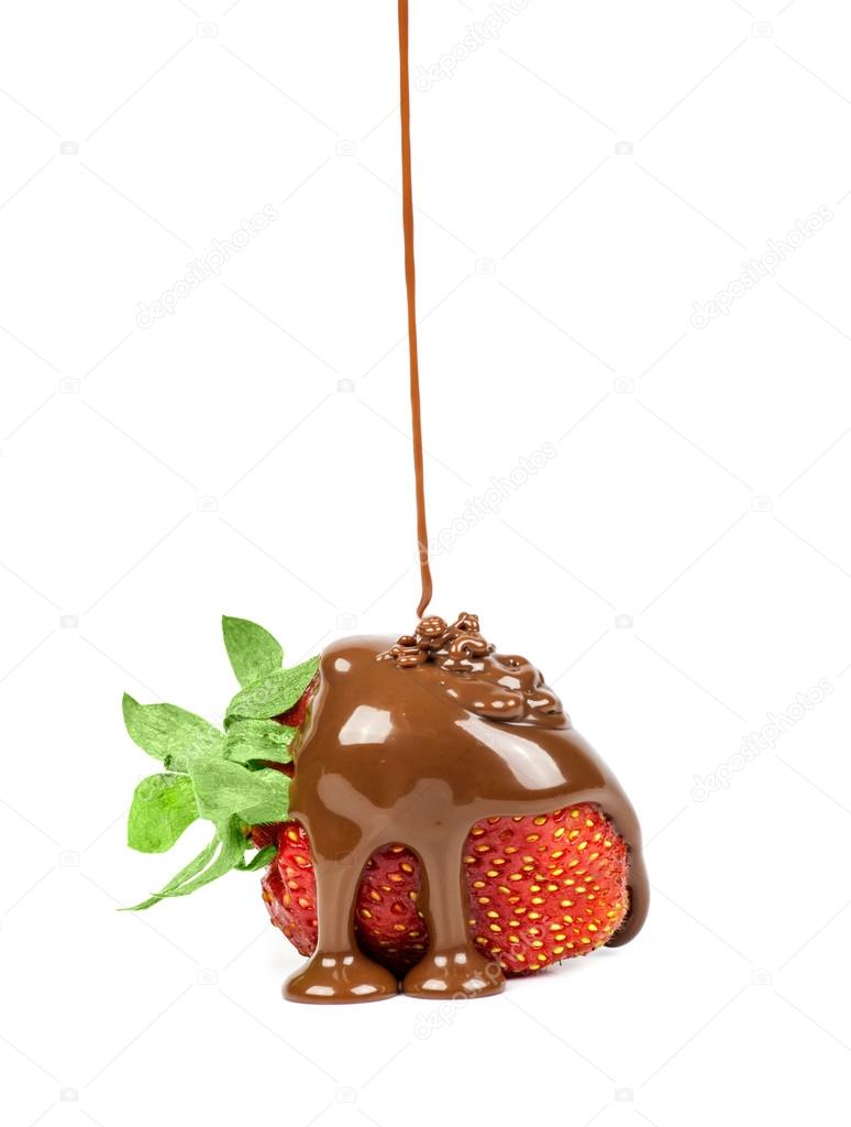 chocolate is poured on strawberries isolated